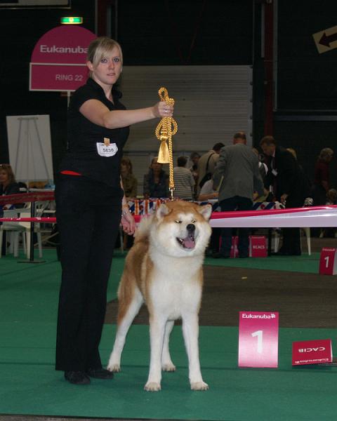 Eurodog_Tensu.jpg - Centenary FCI European Dog Show Winner
